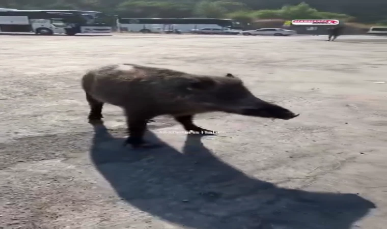 Marmaris Otogarında Şakir