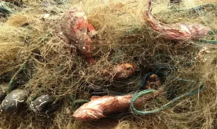 Muğla’da Hayalet Ağlara Karşı Temizlik Çalışması