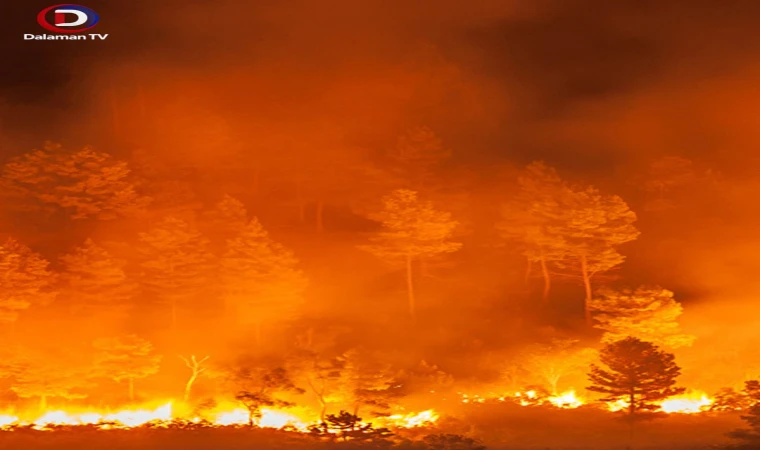 Muğla da ilk yangın korkuttu