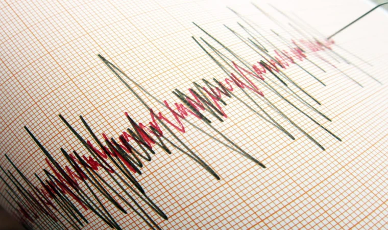 Muğla'da Korkutan Deprem: Bodrum Açıklarında Sarsıntı