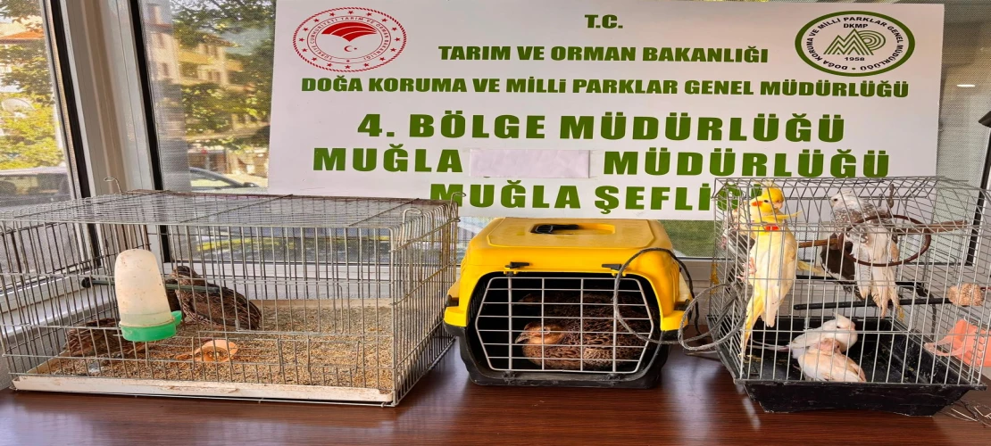 Ula İlçesinde CİMER şikayetine