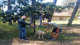 Marmaris İlçe Tarım Müdürlüğü Veteriner Hekimleri