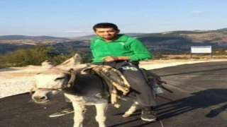 Alkollüyken Eşeğe Binmenin Cezası