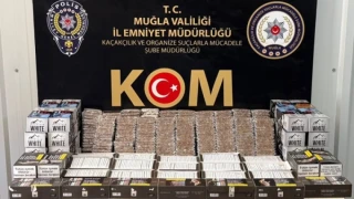 Dalaman, Fethiye, Köyceğiz, Marmaris ve Milas ilçelerinde tespit edilen