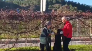 Dalaman Belediyesi tarafından hayata geçirilen