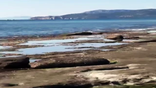 Dalaman’da Deniz Suları Çekildi: