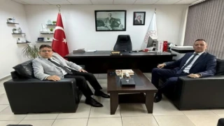 Kritik Ziyaret