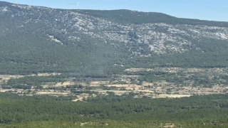 Menteşe Yaraş Mahallesi'ndeki Orman Yangını Kontrol Altına Alındı